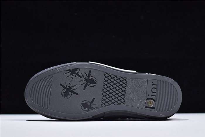 d10r b23 homme kaws high top sneaker