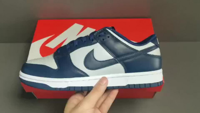 nike dunk low georgetown cw1590-004