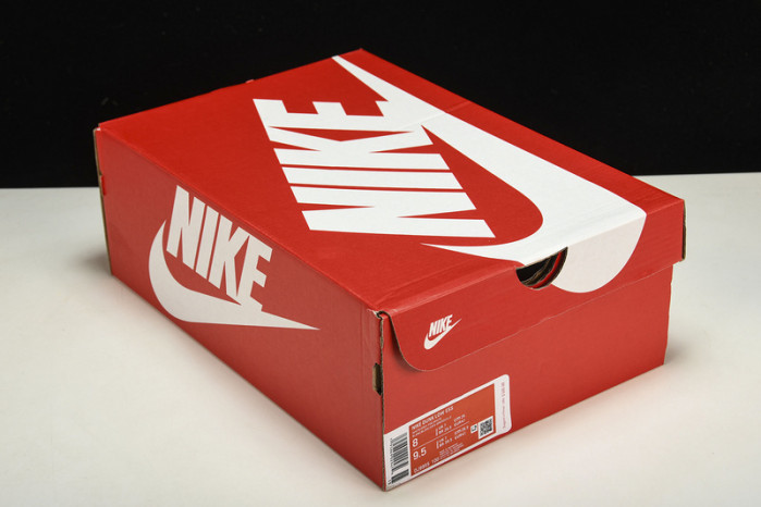 nike dunk low wmns white paisley dj9955-100