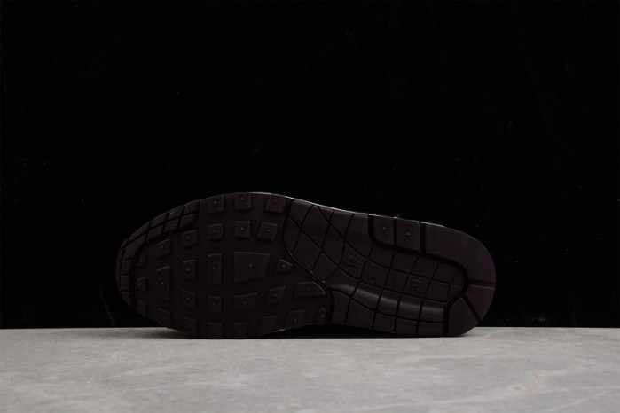 nike air max 1 sp concepts mellow dn1803-300