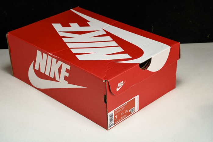 nike dunk low “ironstone” fd9746-001