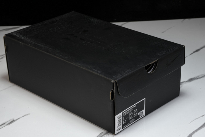 nike kobe 8 protro “mambacita” fv6325-100