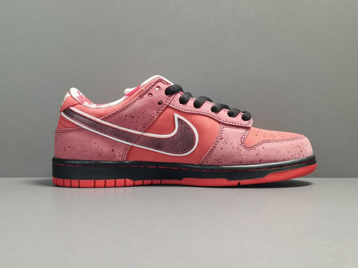 concepts x nk dunk low pro sb“red lobster” 313170-661