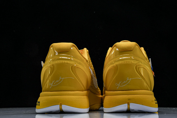 nike zoom kobe 6 protro cw2190-501