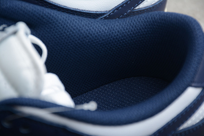 nike sb dunk low navy blue dd1503-115