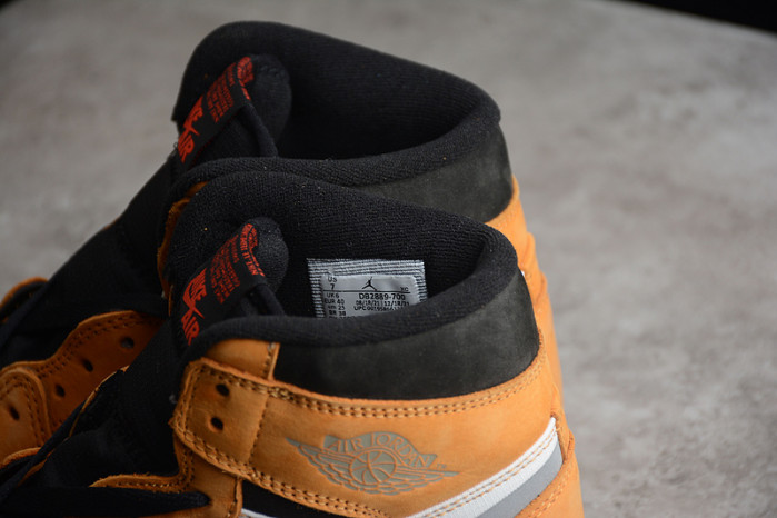 air jordan 1 high element gore-tex light curry db2889-700