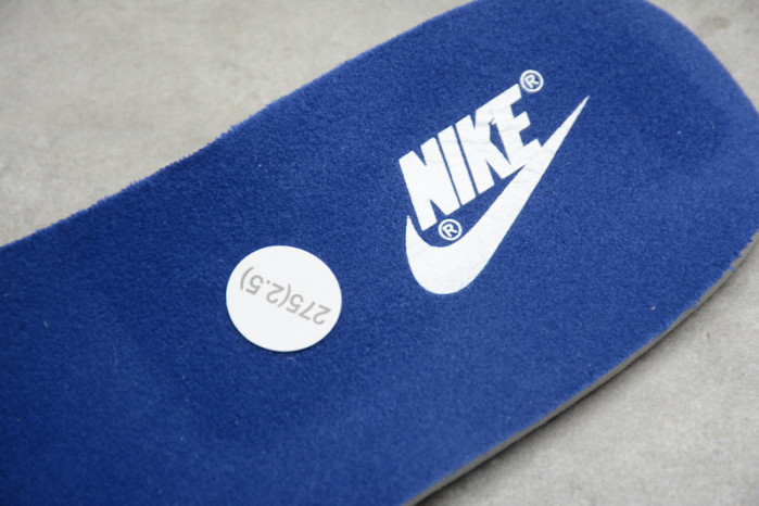 nike dunk low samba (2020) cz2667-400