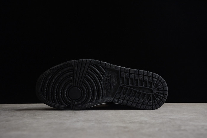 air jordan 1 retro high og twist 2.0 (w) dz2523-001