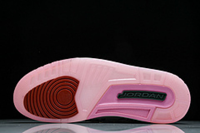 air jordan 3 “wings” hm6993-100